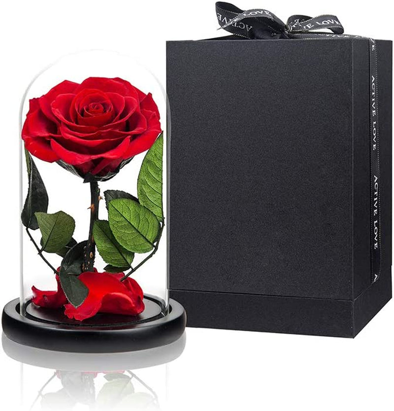 Preserved Rose Red Rose in Glass Dome Real Roses Preserved Flowers, Valentines Day Gifts for Her Birthday Gifts for Wife Mother'S Day Gifts Christmas Day Gifts